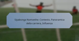 Siyabonga Nomvethe: Contesto, Panoramica della carriera, Influenza